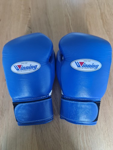Authentic winning 300b - authentic,