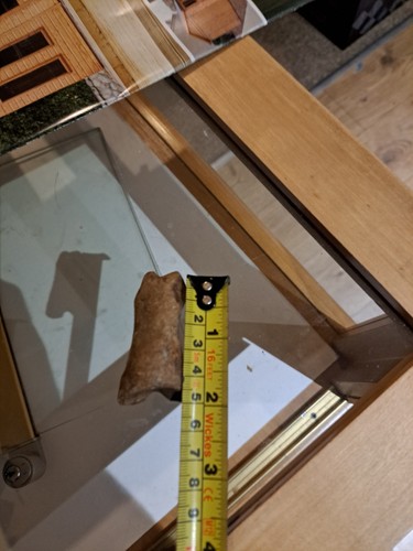 Cave bear fossul finger - cave,