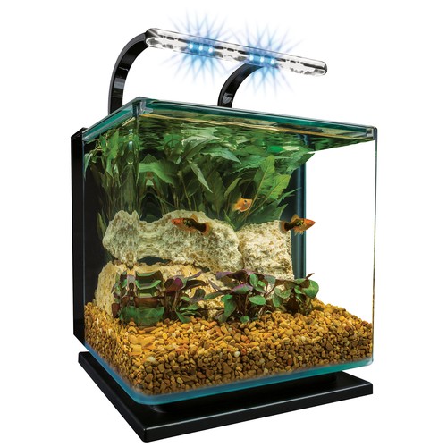 Tetra marineland contour - tetra, 3