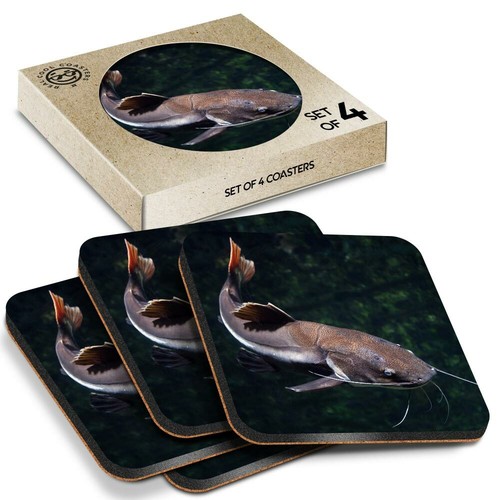 Boxed square coasters - x,