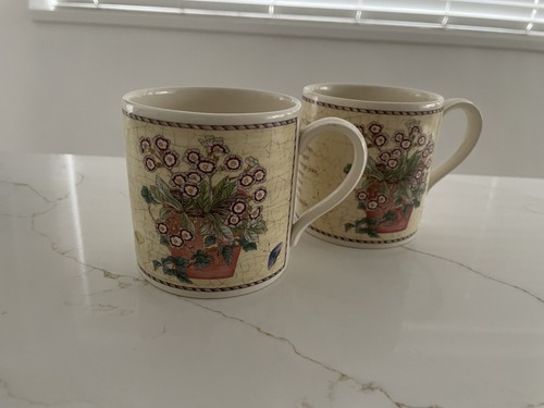 Sarahs garden mug - sarahs,