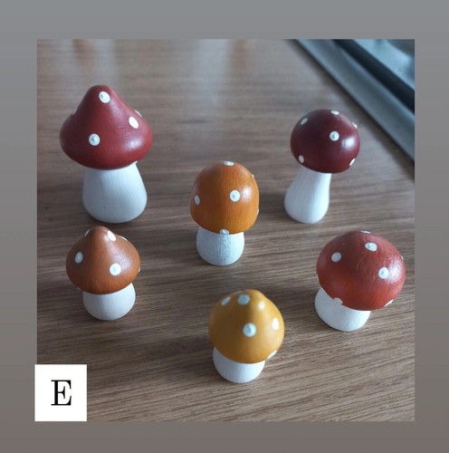 Wooden toadstools mushrooms - toadstools,