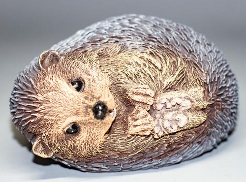 Laying hedgehog garden - hedgehog,
