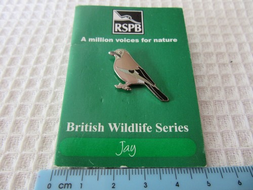 Rspb jay bird trifold - bird,