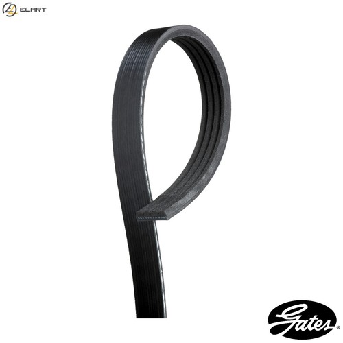 Vribbed belt 4pk773 - vribbed,