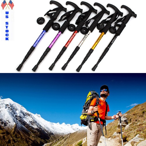 Cane walking stick - cane, travel
