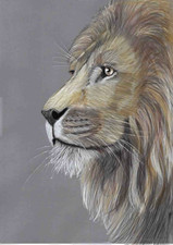 Original Artwork Coloured