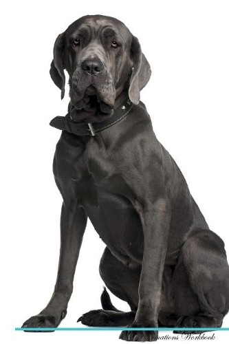 Neapolitan mastiff - neapolitan,