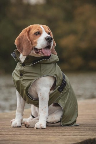 Rukka streamy eco dog coat - streamy,