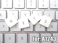 Genuine A1243 Replacement Keys