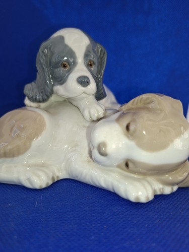 Nao lladro wake - nao, up