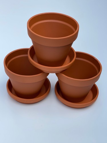 Traditional terracotta plants - traditional,