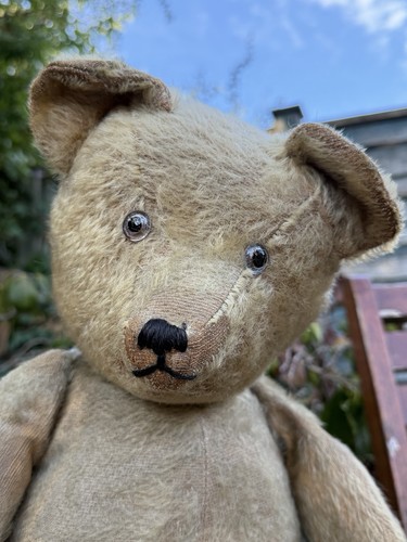 Vintage german teddy bear - bear,