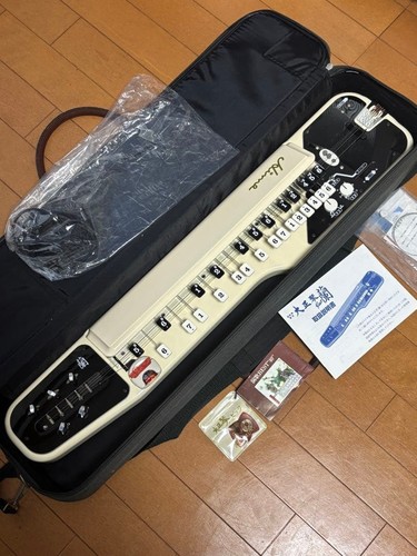Suzuki electric taishogoto - electric,