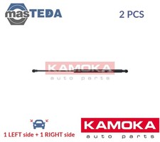 7092443 TAILGATE BOOT STRUTS