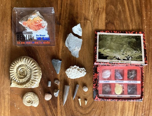 Rock and fossil collection - and,