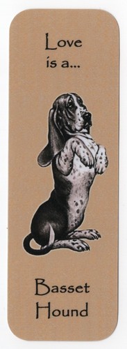 Basset hound dog beautiful - hound,