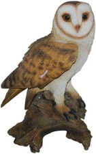 Vivid Arts Real Life Barn Owl