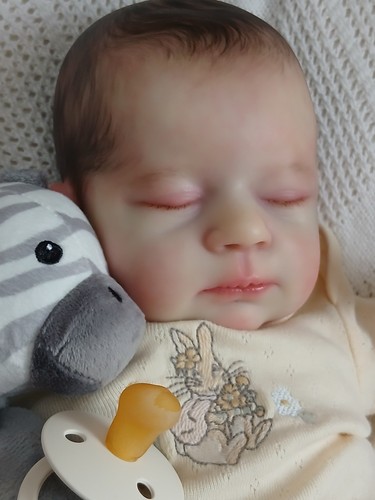 Reborn realborn baby autumn - baby,
