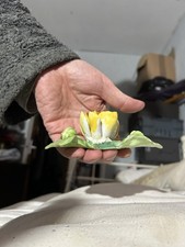 Crown Staffordshire Flower