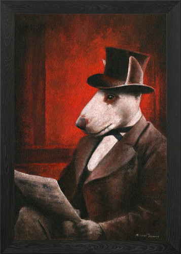 English bull terrier gent - bull,