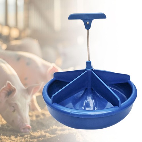 Piglet feeder baby pig - piglet,
