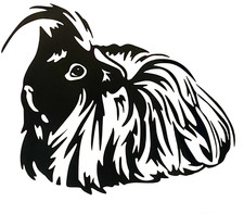 1x Guinea Pig Pet Animal Decal