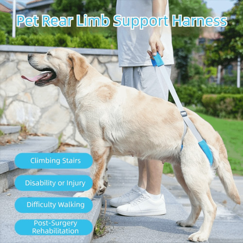 Pet rear leg support aid - aid, sling