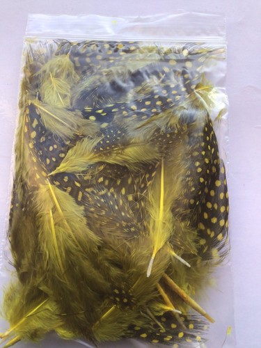 Guinea fowl dyed feathers - feathers, ,3