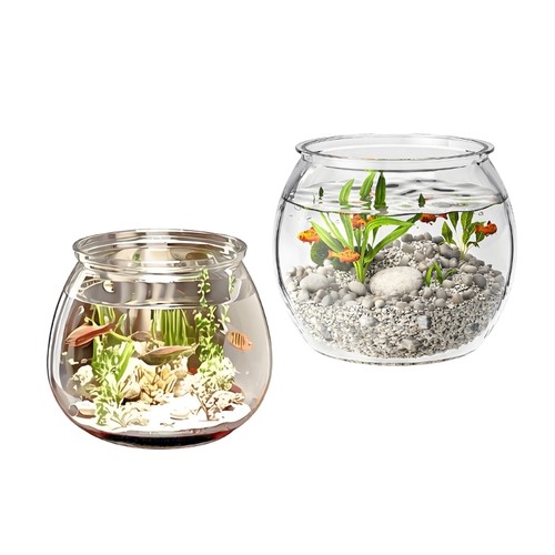Round fish bowl scratch - fish,