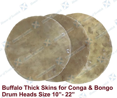 Buffalo hide drum - drum, head