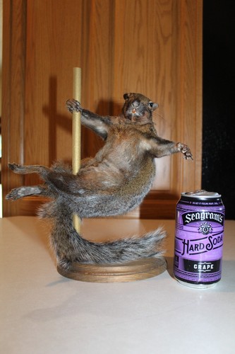 New taxidermy xxx stripper - xxx,