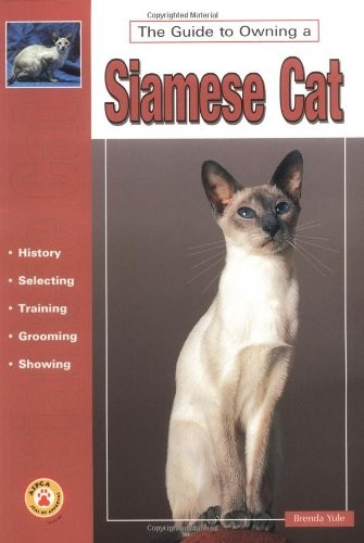 Guide owning siamese - guide,
