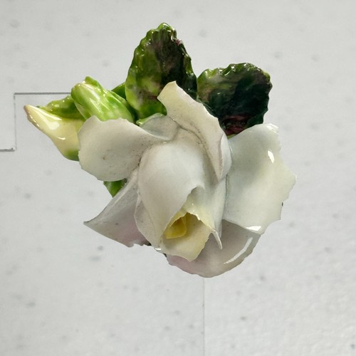 Vintage crown staffordshire - vintage,