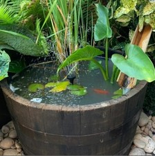 SMALL Watertight 100% GUARANTEED  -Oak half barrel planter patio MINI POND