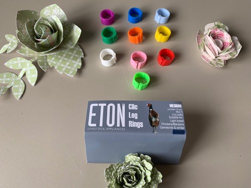 Eton clic universal leg - 10, &