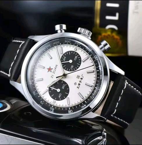 Seagull 1963 zuan pilot - zuan,