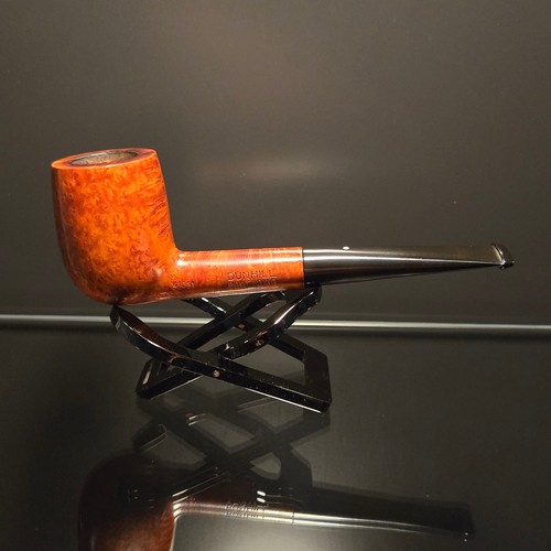 1982 dunhill 41031 - 1982, root