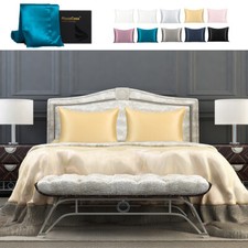 22 Momme Pure Silk Pillowcase Both Side 100% Silk Pillowcase Queen King Standard