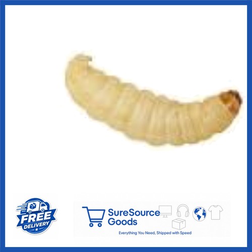 Nutritious live food wax - nutritious, worms