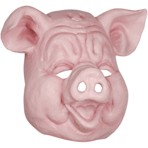 Adult latex pig - adult, hog