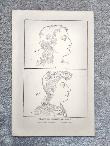 Conjugal love phrenology - love,