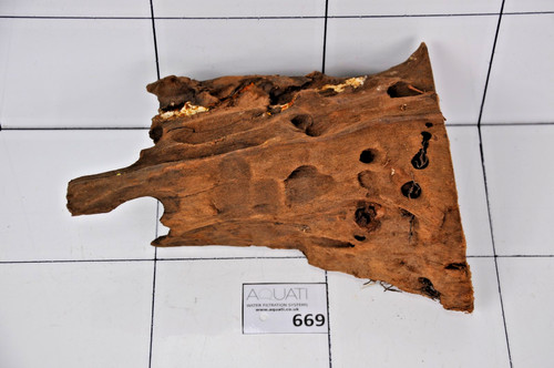 Aquarium natural wood - aquarium,
