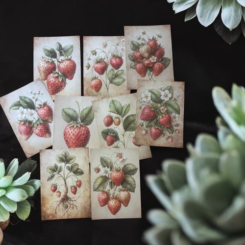 Vintage strawberry card - x,