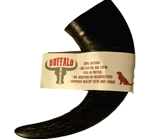 Buffalo horn medium large - medium,