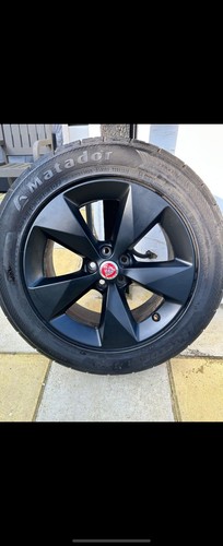 Genuine jaguar pace - genuine, e-pace
