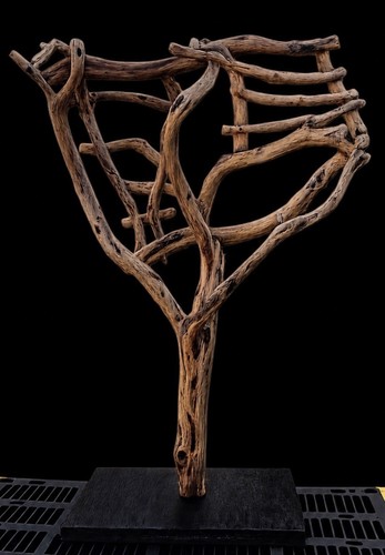 Large manzanita wood bird - wood,