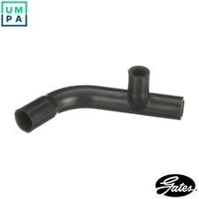 HOSE CRANKCASE VENTILATION