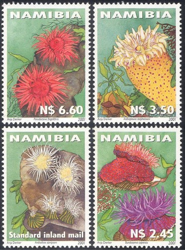 Namibia 2001 sea - 2001,