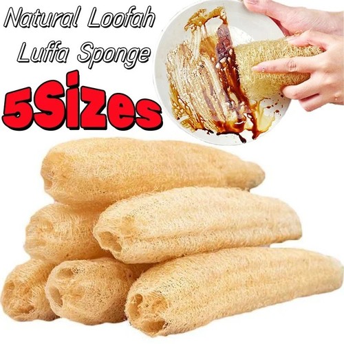 Natural tunisian loofah - natural, sponge